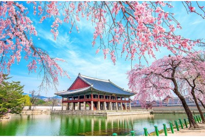 Tour du lịch Hàn Quốc mùa Hoa Anh Đào: Seoul - Đảo Nami - Everland - Công viên Yeouido 